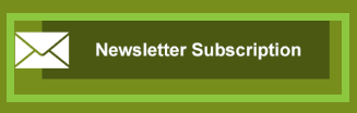 newsletter subscription button